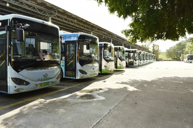 Bus & Coach